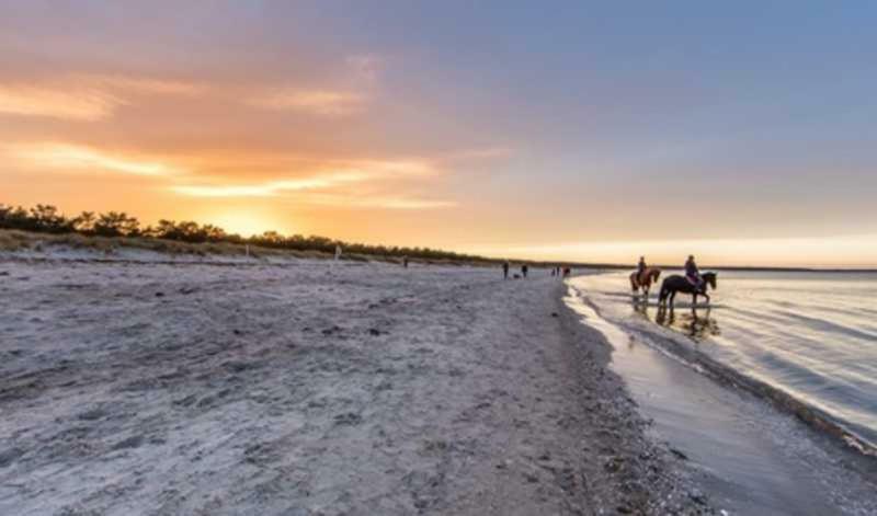 Reethaus Strandvogt Kamin Wlan Was Villa Breege Exterior foto